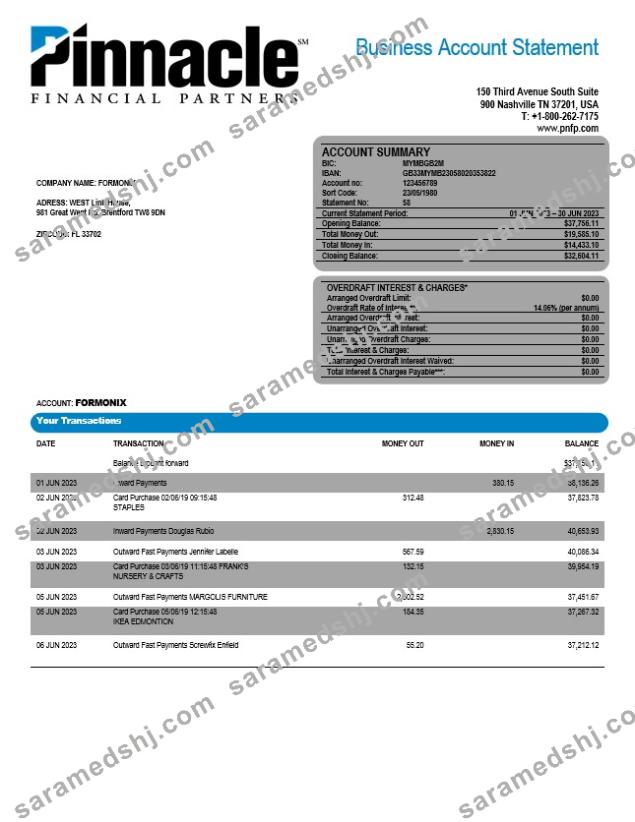 Pinnacle Financial Bank firm account statement Word and PDF template